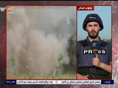 Capture Image AL MAYADEEN TV 11391 V