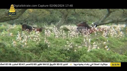 Capture Image Samarra tv 12685 V