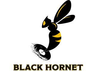 Slideshow Capture DAB Black Hornet