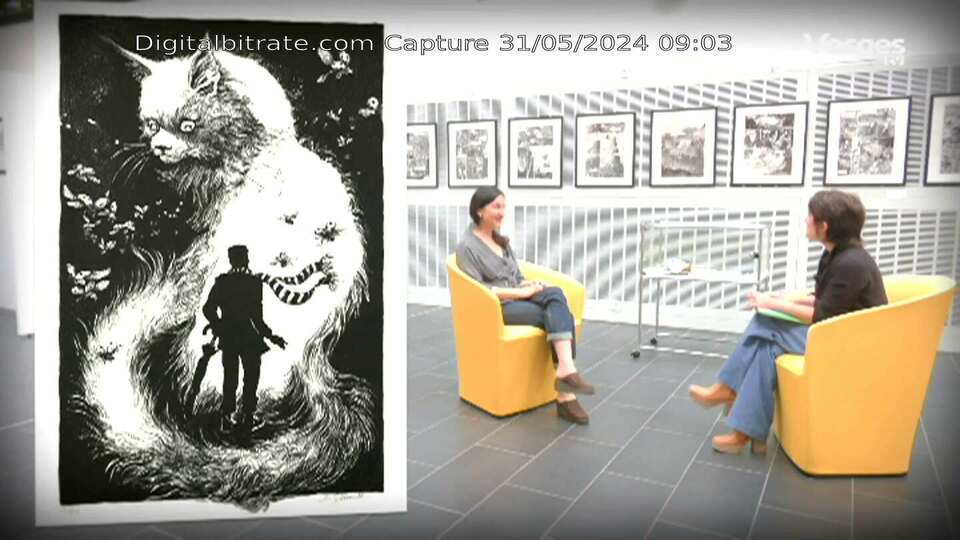 Capture Image Vosges TV (standard) [flavour-ld] FRF