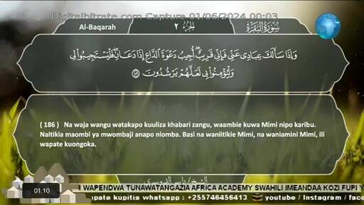 Capture Image 010 - Africa Swahili TV 12604 H